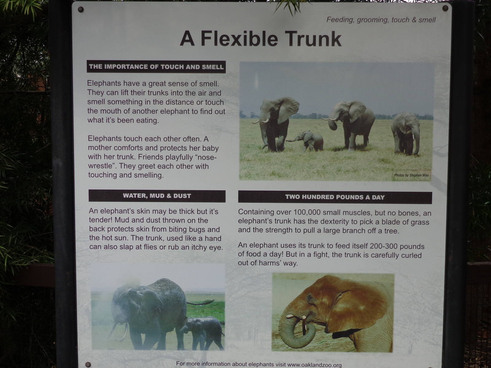 Mahali Pa Tembo Signage #3