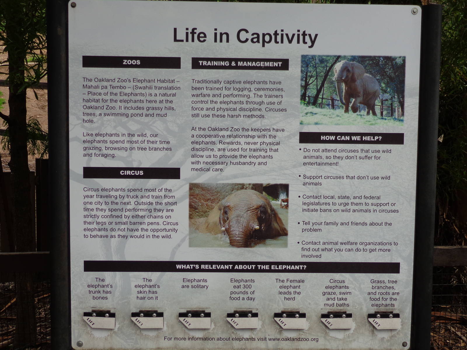 Mahali Pa Tembo Signage #4