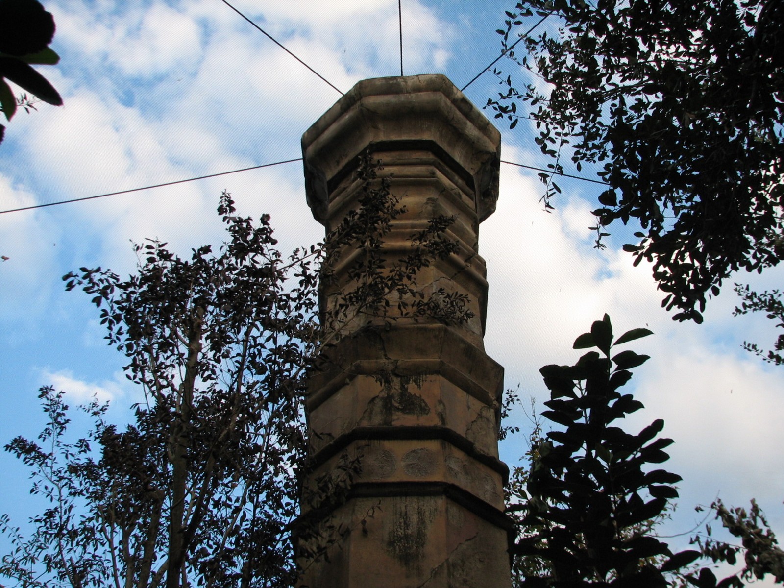 Maharajah Jungle Trek - Aviary
