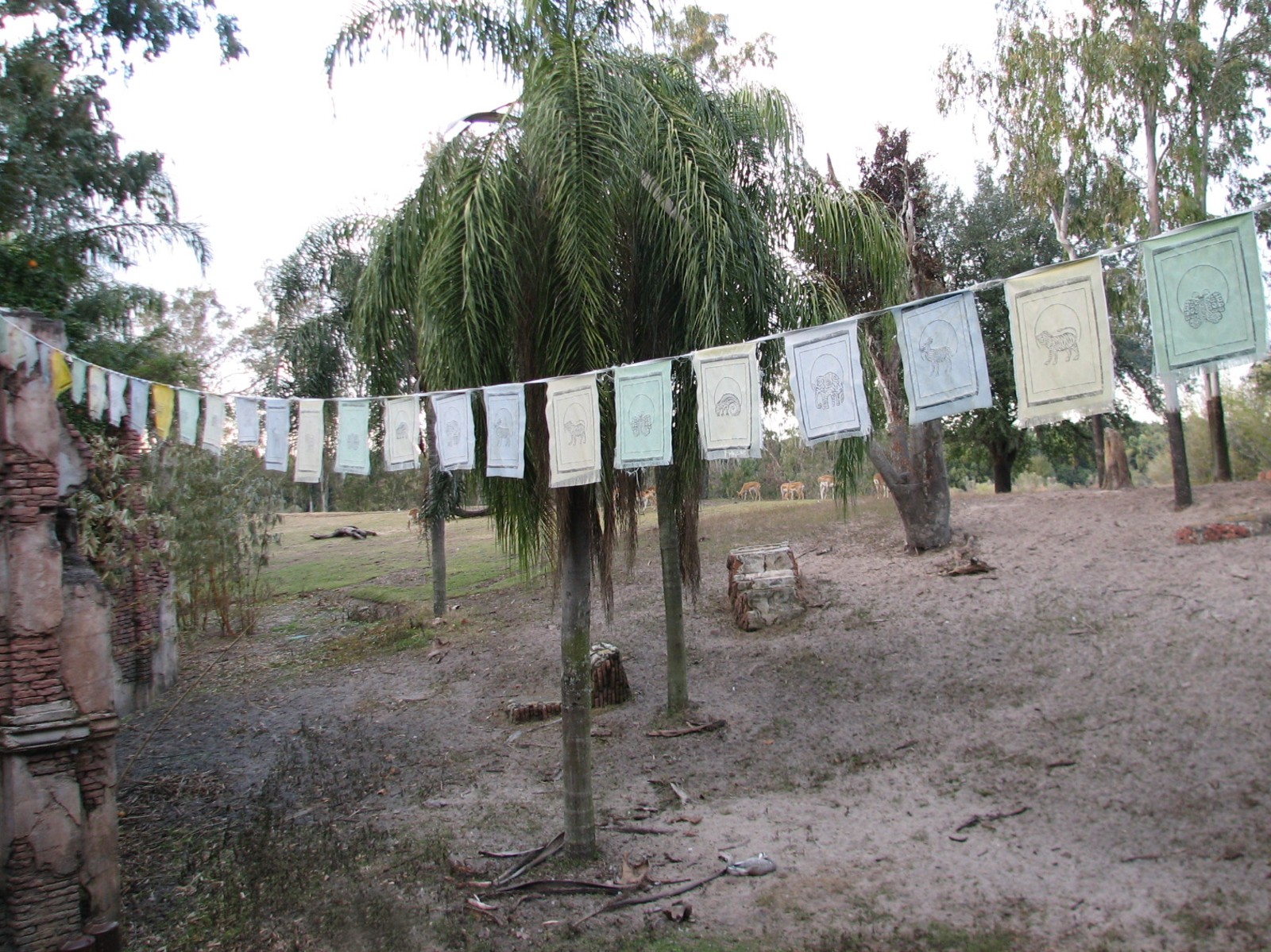 Maharajah Jungle Trek - Banteng, Blackbuck, and Elds Deer Exhibit