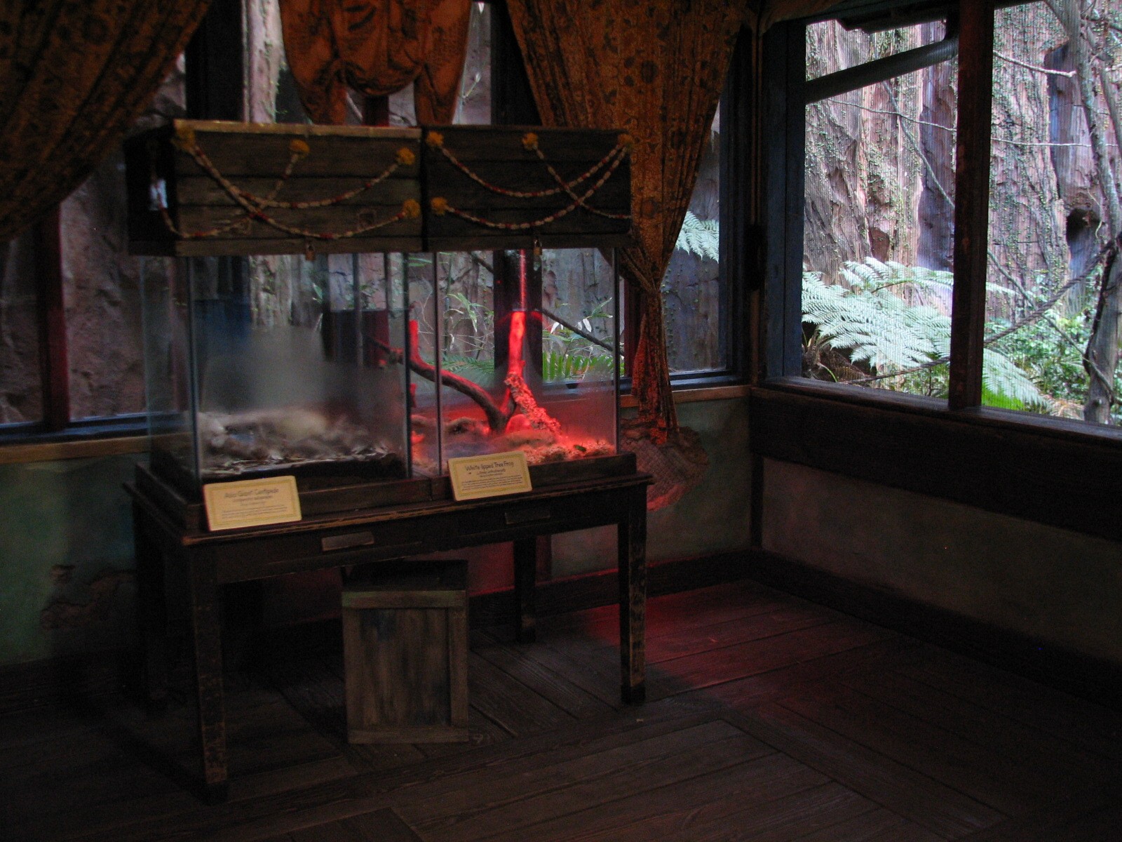 Maharajah Jungle Trek - Bat House Interior and Asian Giant Centipede and Wh