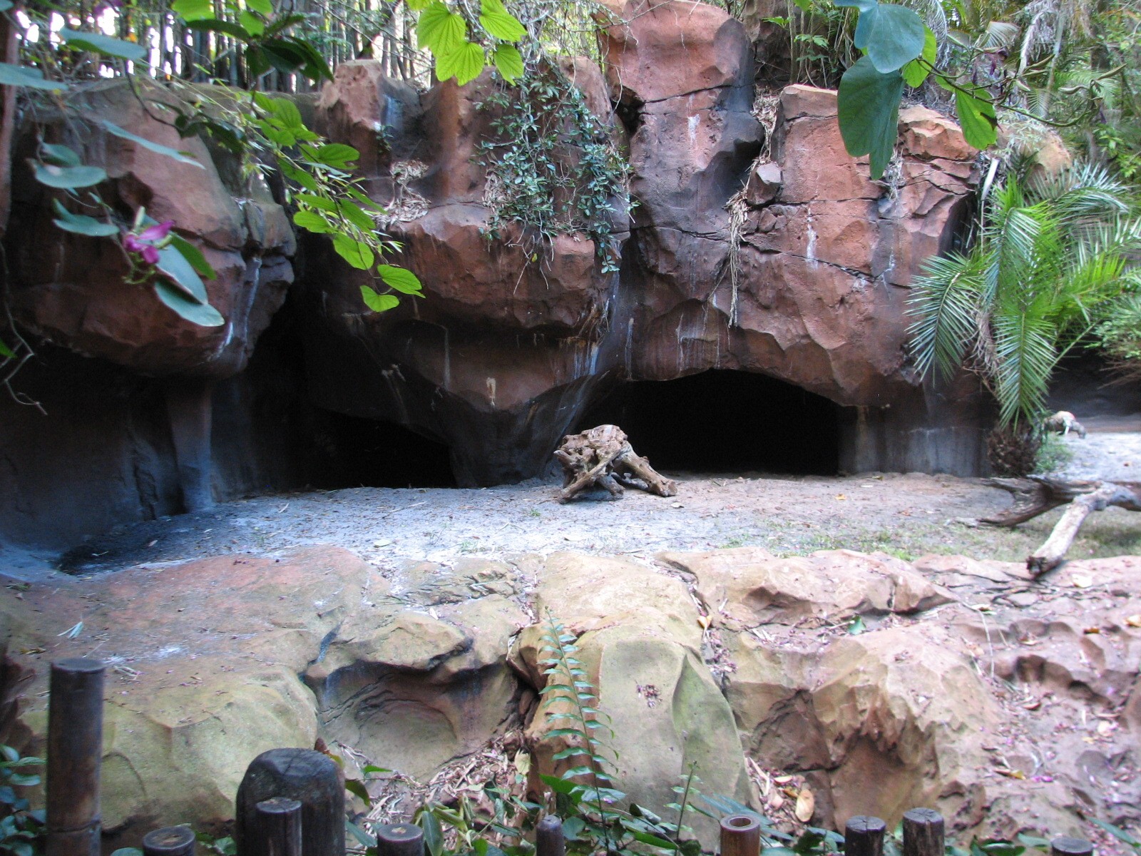 Maharajah Jungle Trek - Komodo Dragon Exhibit