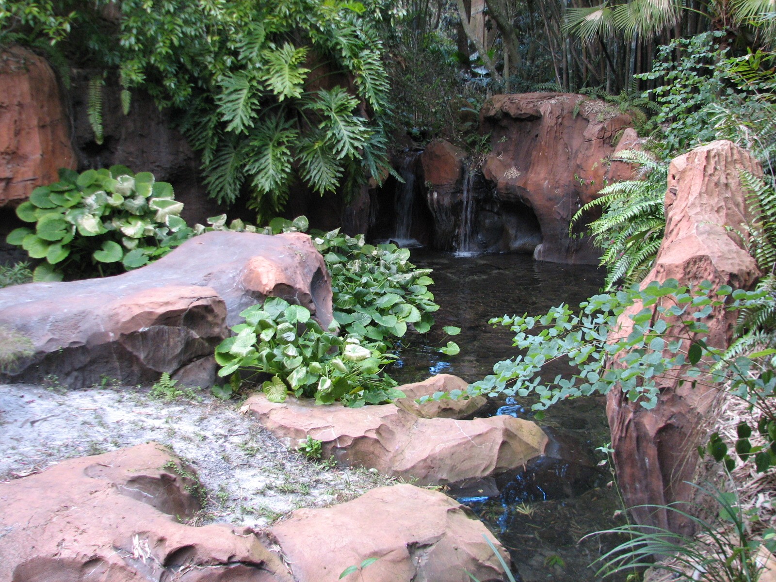 Maharajah Jungle Trek - Komodo Dragon Exhibit