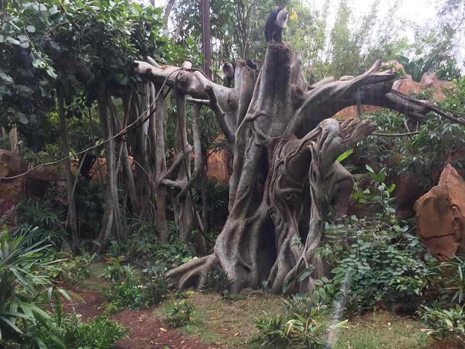 Maharajah Jungle Trek- Lion-Tailed Macaque