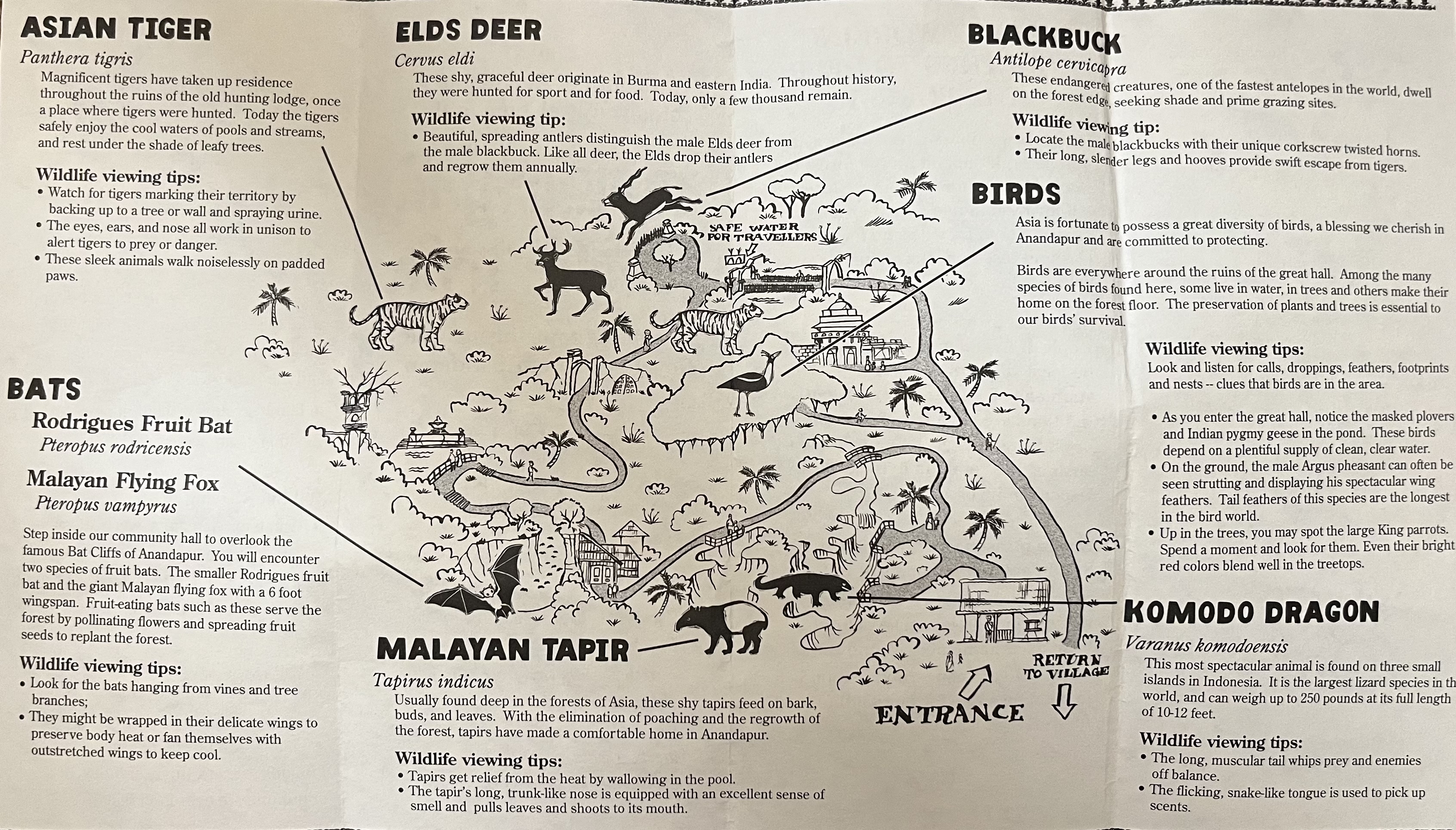 Maharajah Jungle Trek - Map