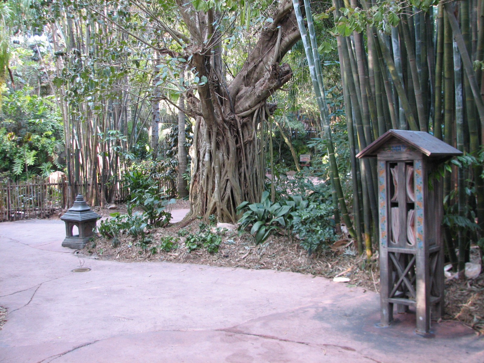 Maharajah Jungle Trek - Path