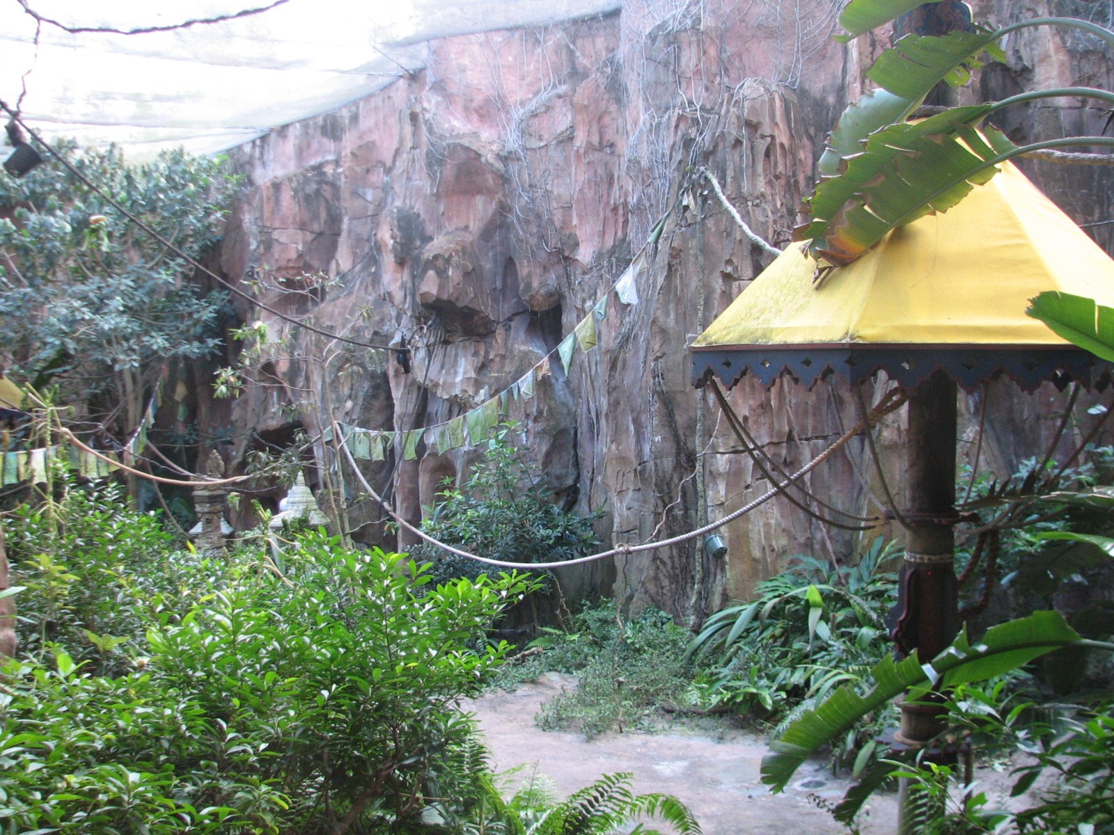 Maharajah Jungle Trek - Rodrigues Fruit Bat and Malayan Flying Fox Exhibit