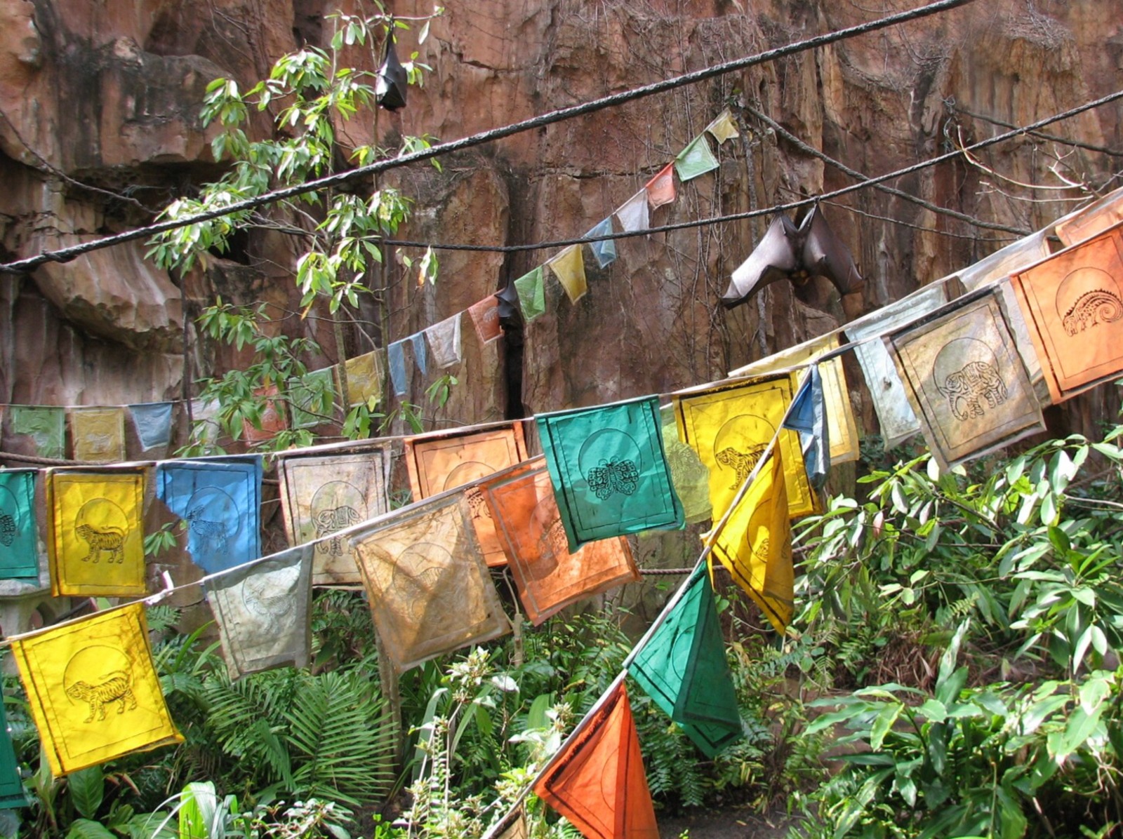 Maharajah Jungle Trek - Rodrigues Fruit Bat and Malayan Flying Fox Exhibit