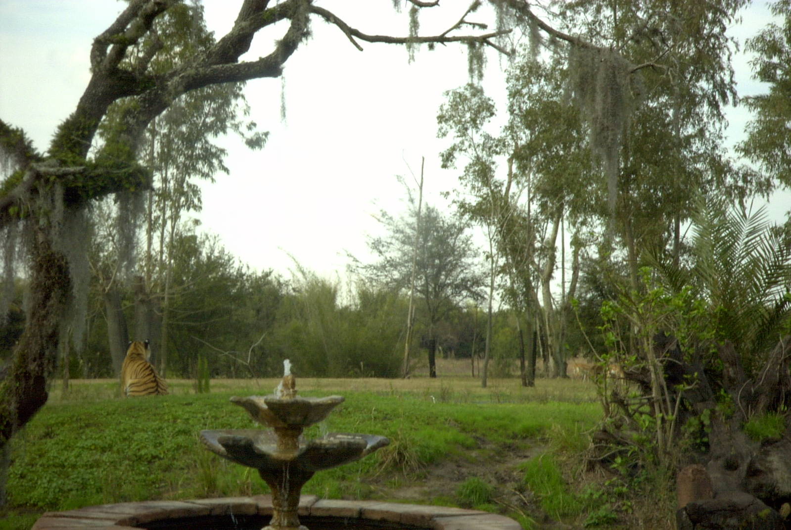 Maharajah Jungle Trek - Tiger Exhibit