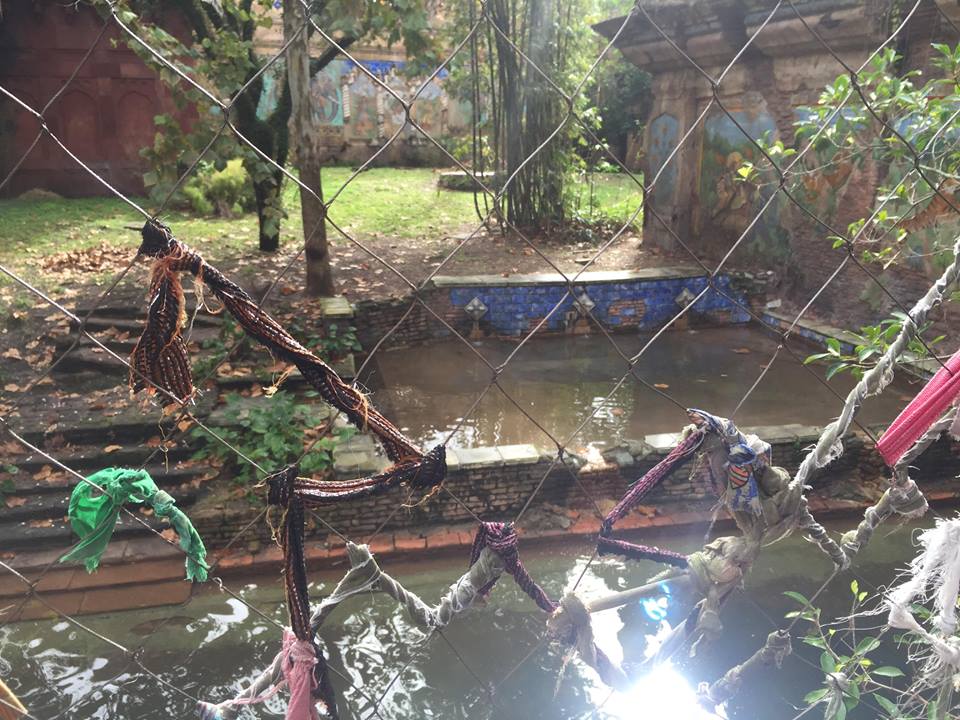 Maharajah Jungle Trek- Tiger