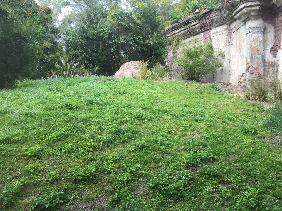 Maharajah Jungle Trek- Tiger