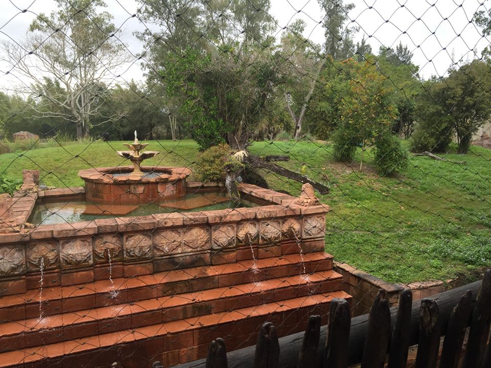 Maharajah Jungle Trek- Tiger