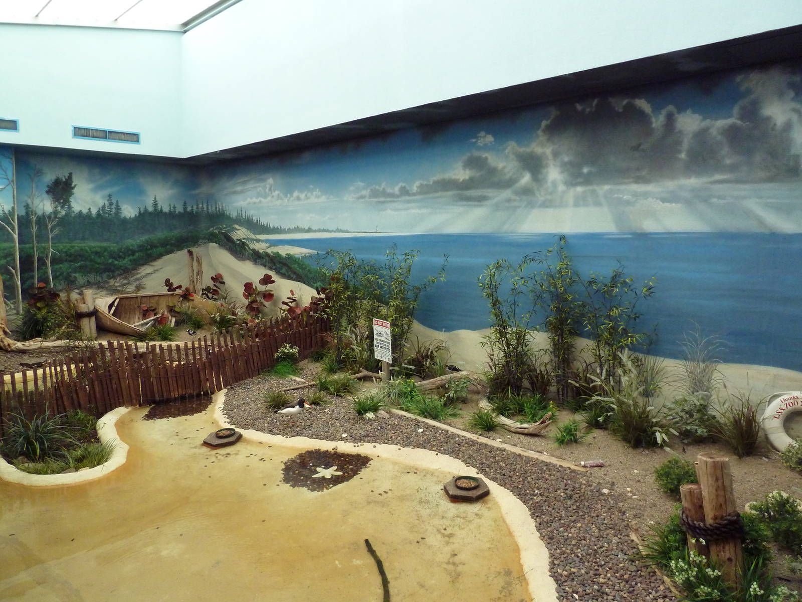 Mahler Family Aviary Building - Black-Necked Stilt/Blacksmith Plover/Americ