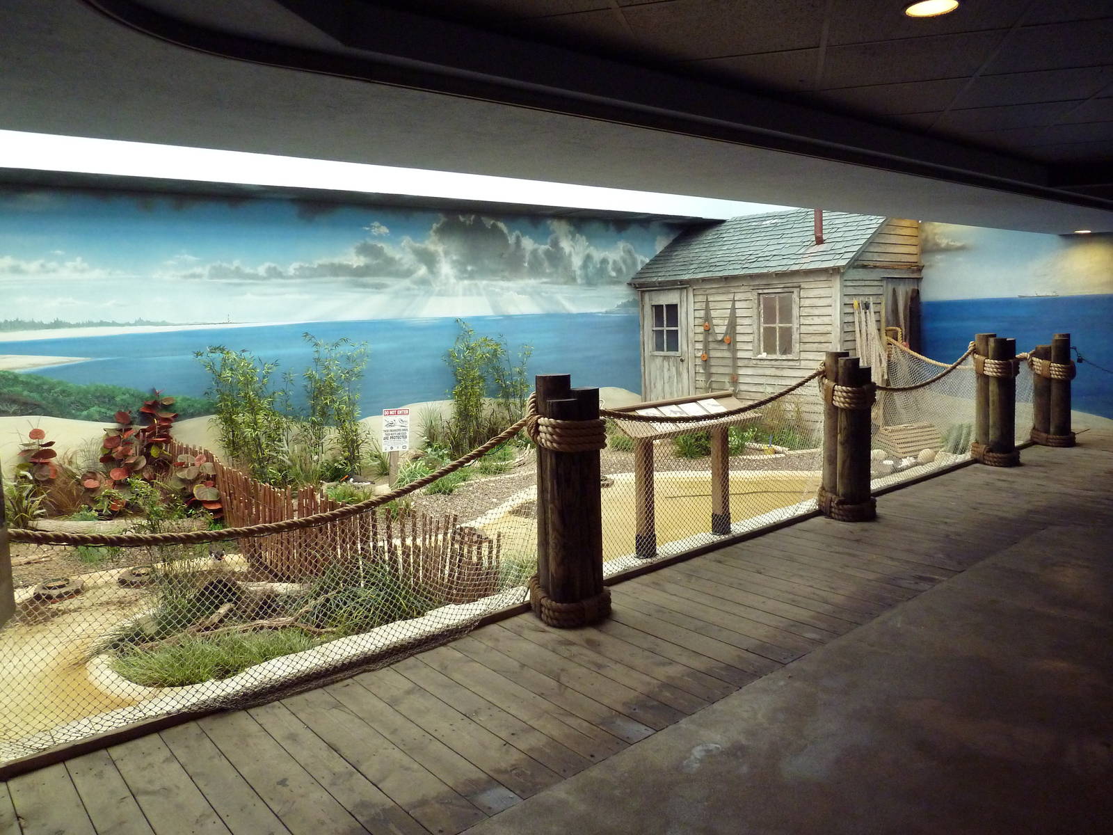 Mahler Family Aviary Building - Black-Necked Stilt/Blacksmith Plover/Americ