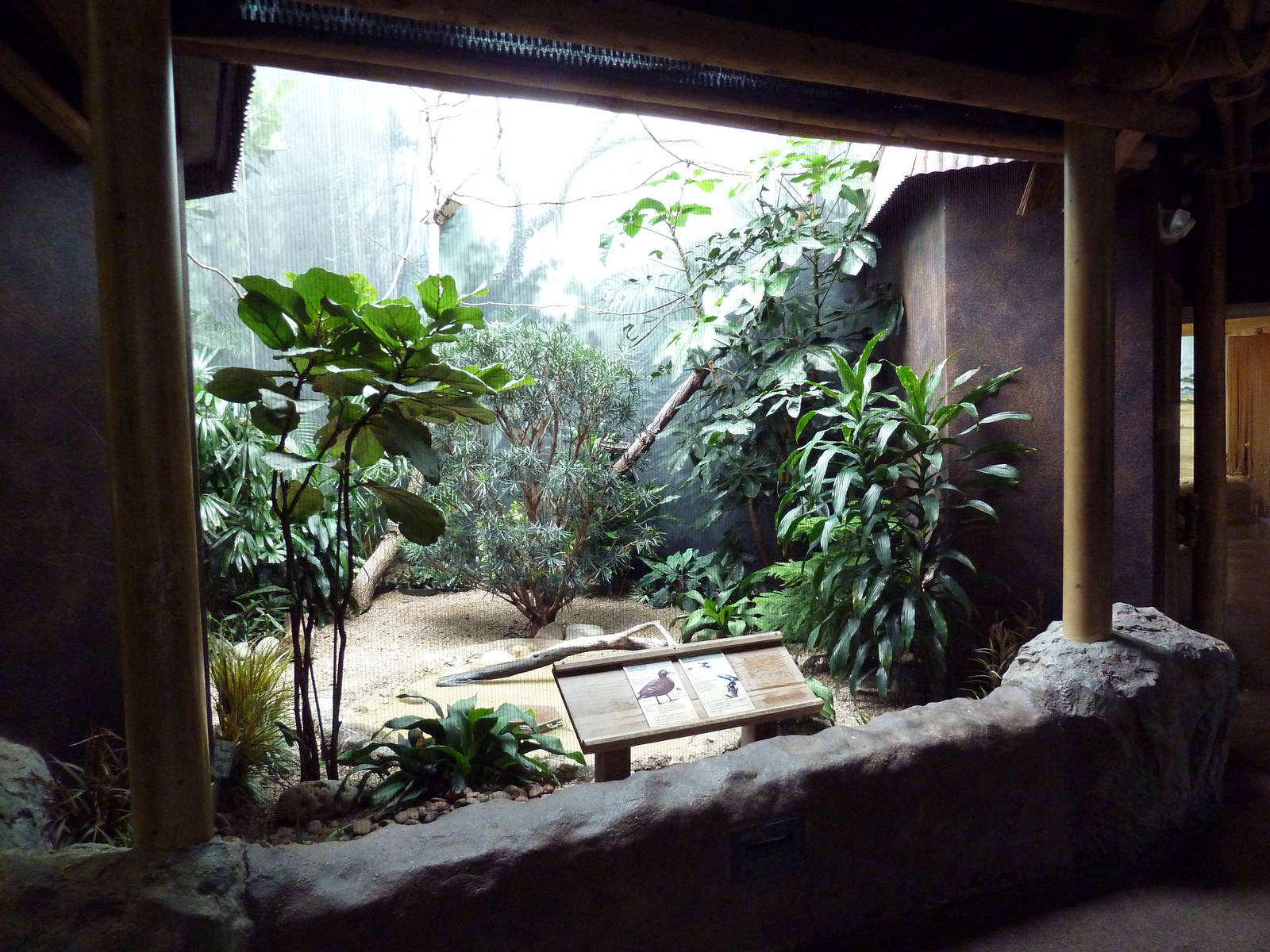Mahler Family Aviary Building - Layson Teal/Bali Mynah Exhibit