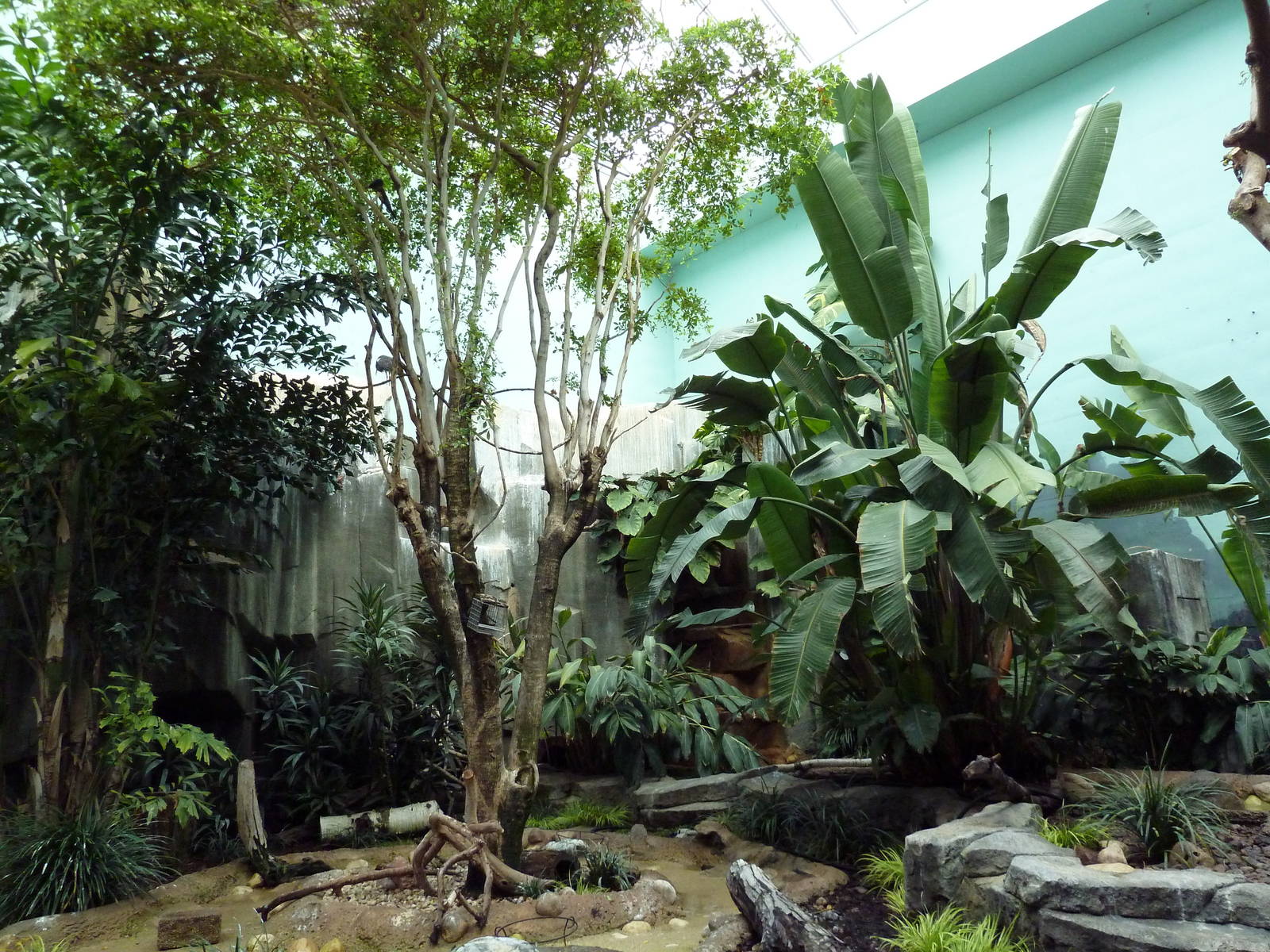 Mahler Family Aviary Building - Walk-Through Aviary