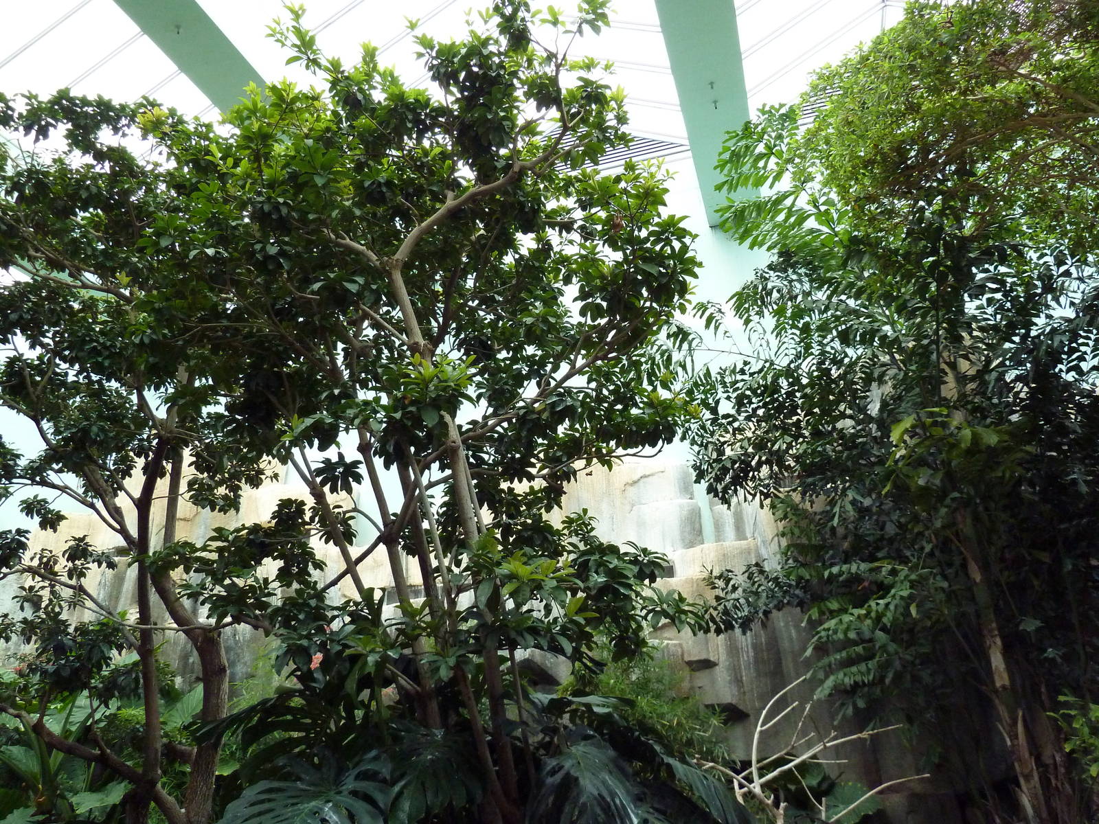 Mahler Family Aviary Building - Walk-Through Aviary
