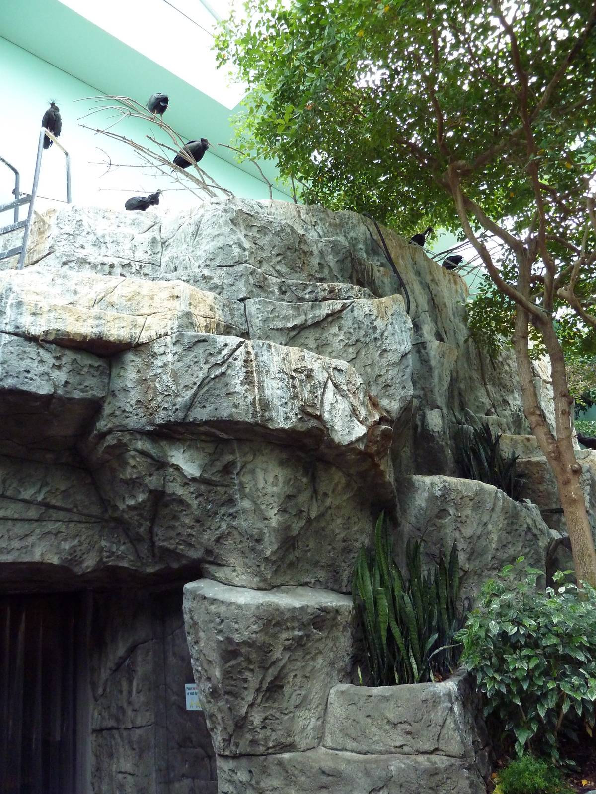 Mahler Family Aviary Building - Walk-Through Aviary