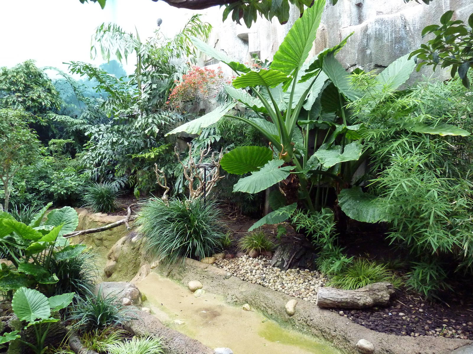 Mahler Family Aviary Building - Walk-Through Aviary