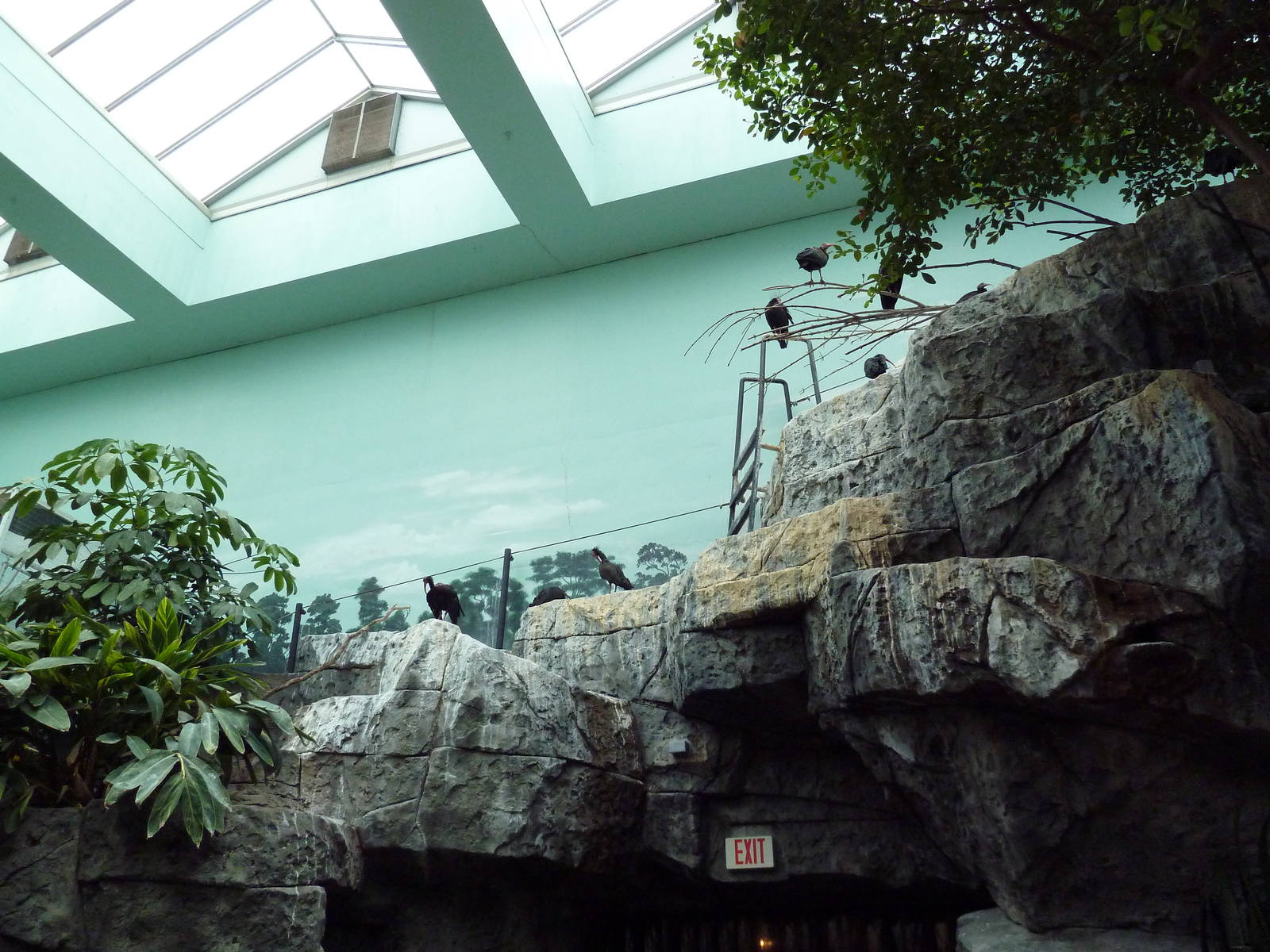 Mahler Family Aviary Building - Walk-Through Aviary