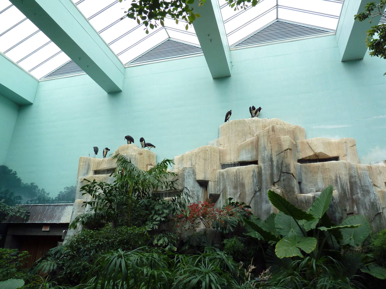 Mahler Family Aviary Building - Walk-Through Aviary