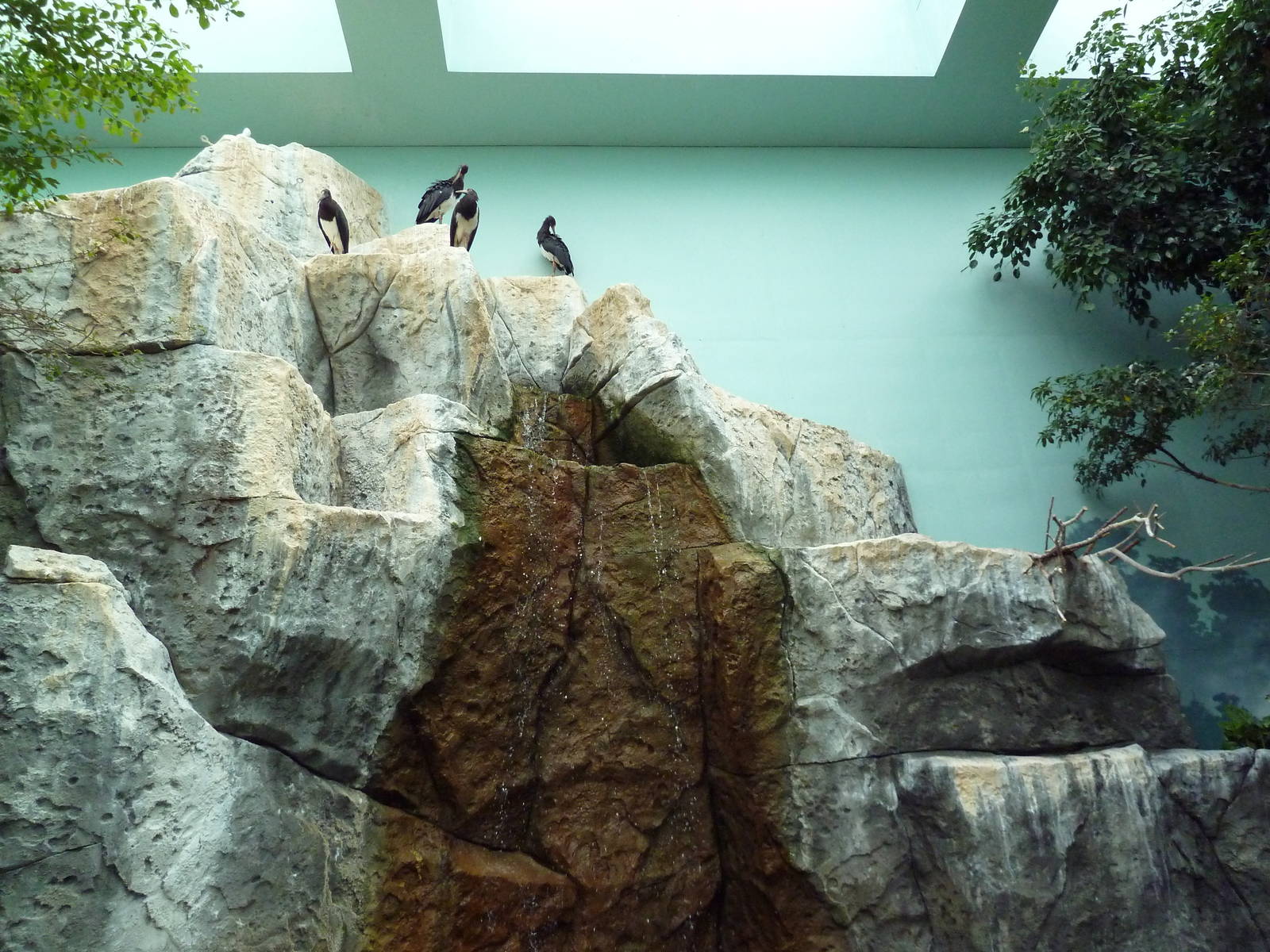 Mahler Family Aviary Building - Walk-Through Aviary