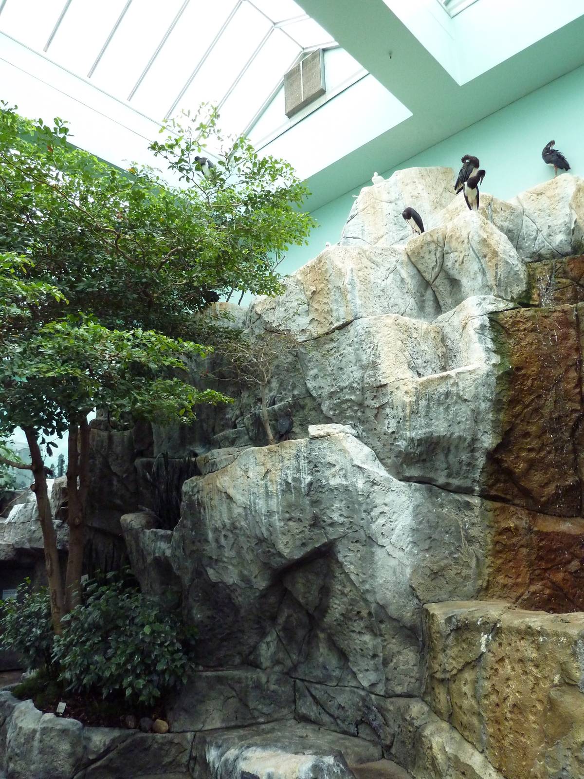 Mahler Family Aviary Building - Walk-Through Aviary