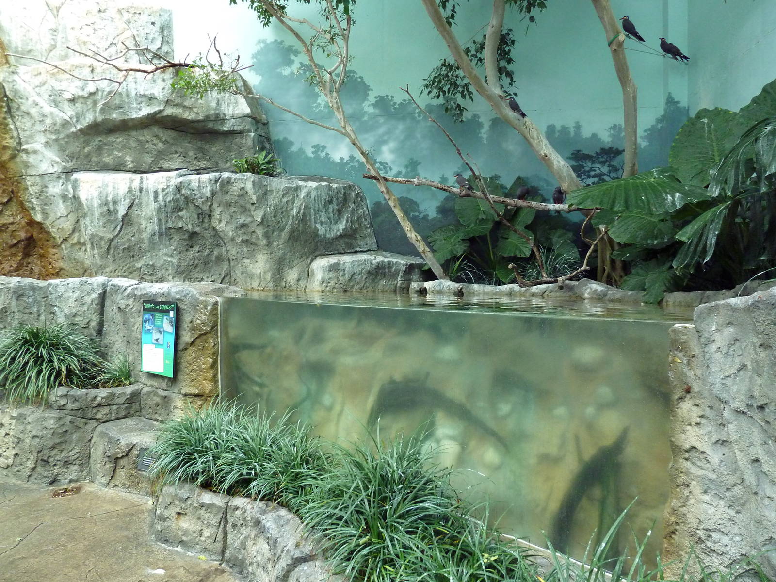 Mahler Family Aviary Building - Walk-Through Aviary