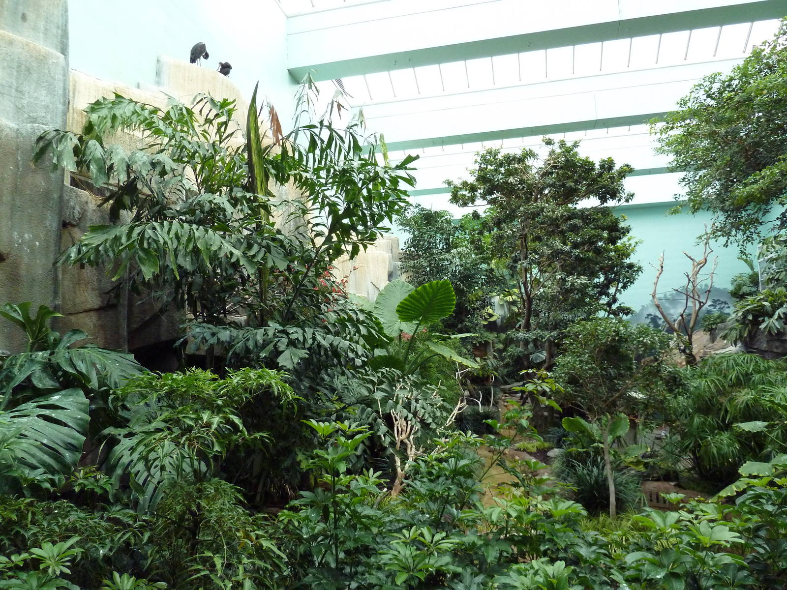 Mahler Family Aviary Building - Walk-Through Aviary