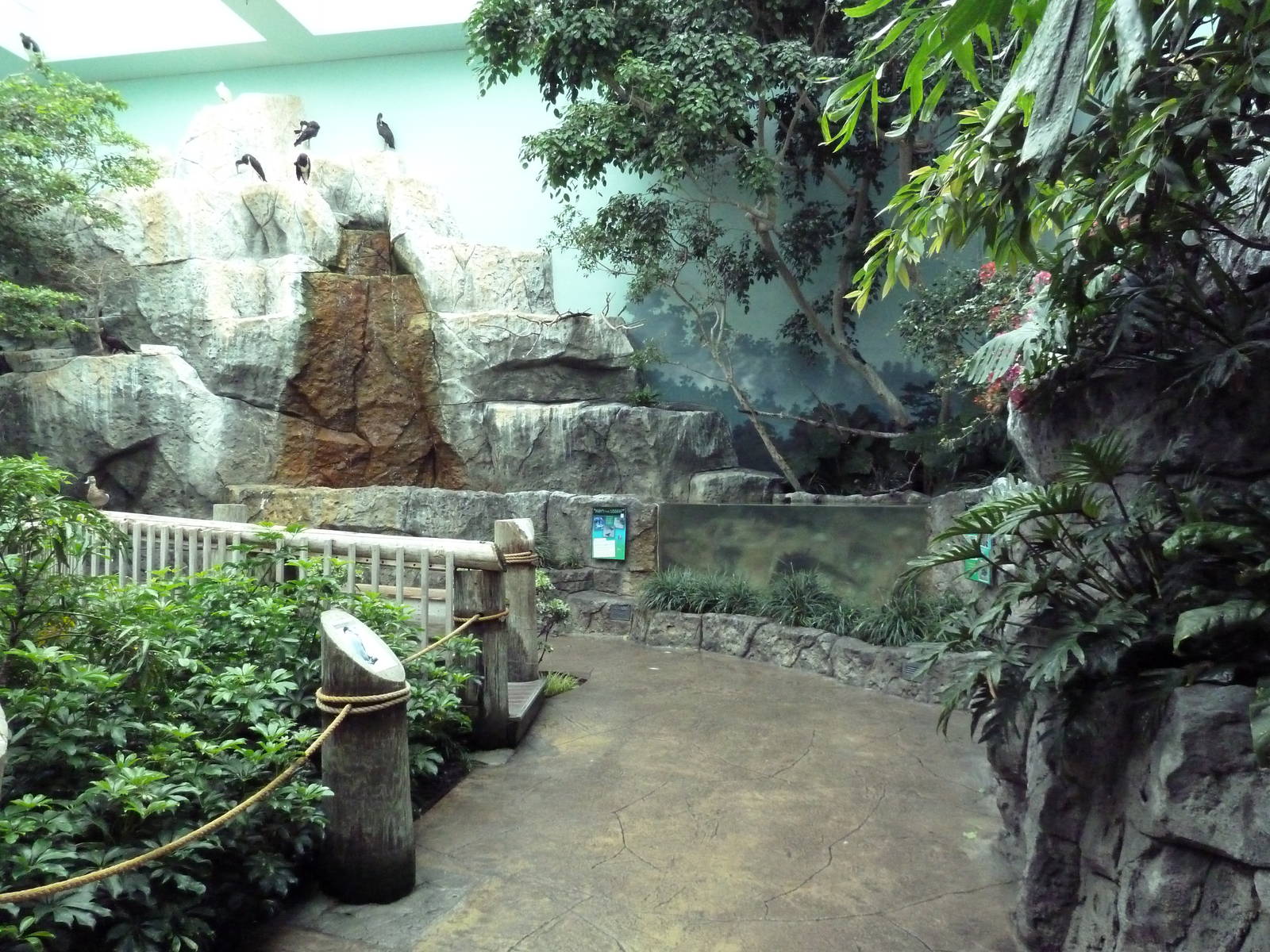 Mahler Family Aviary Building - Walk-Through Aviary