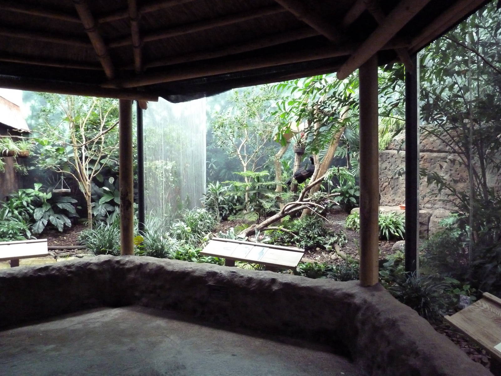 Mahler Family Aviary Building