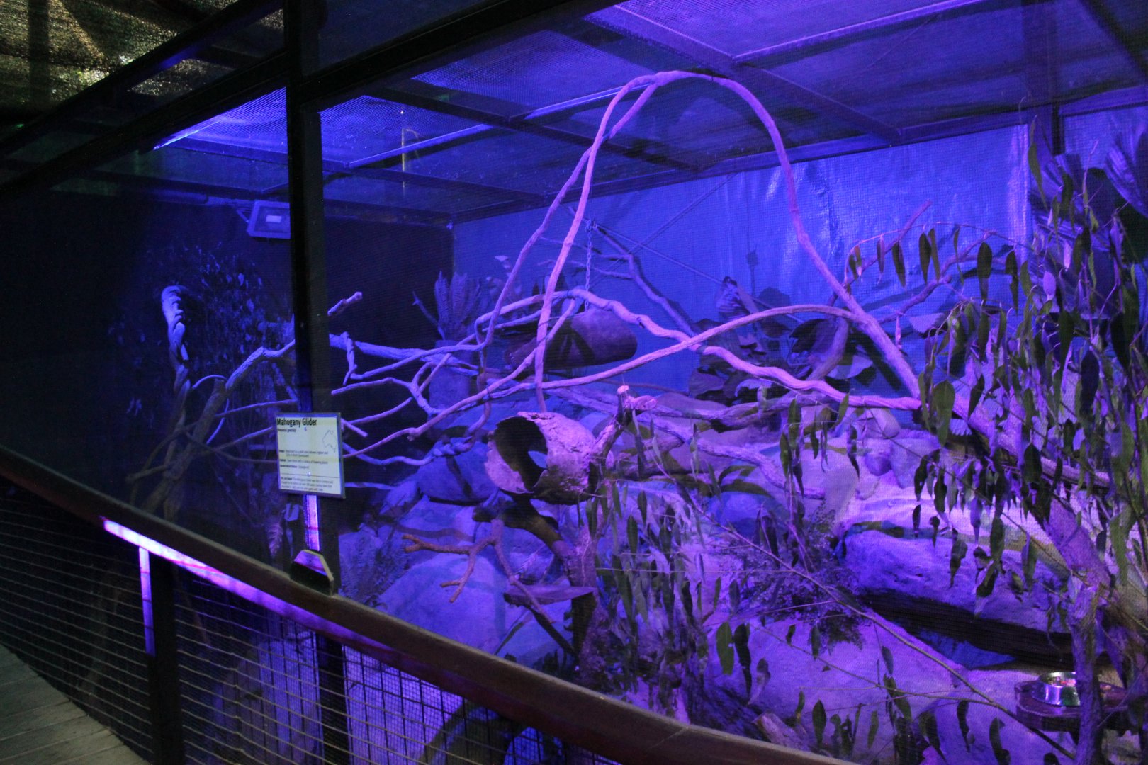 Mahogany Glider enclosure