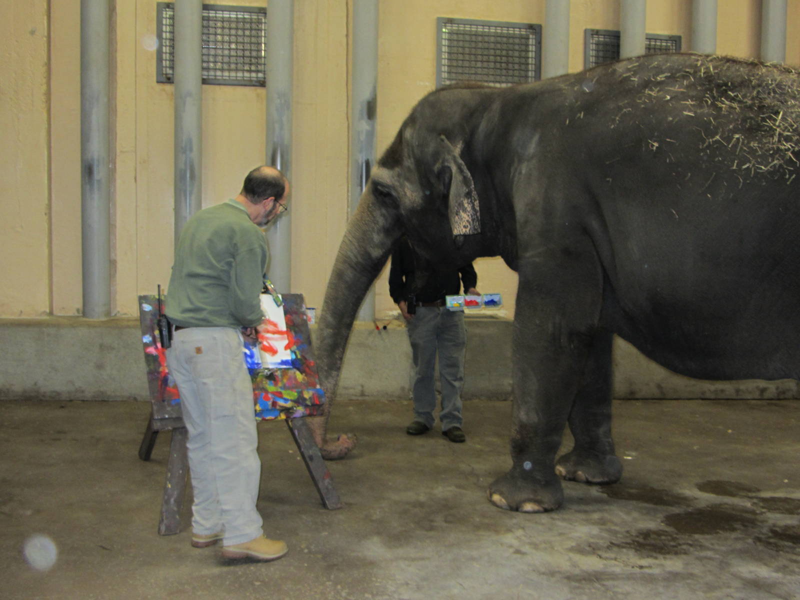 Mai-Thai Picking Up Treats