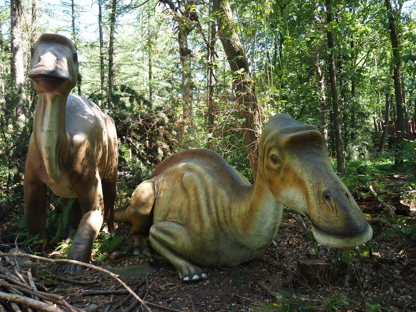 Maiasaura peeblesorum models