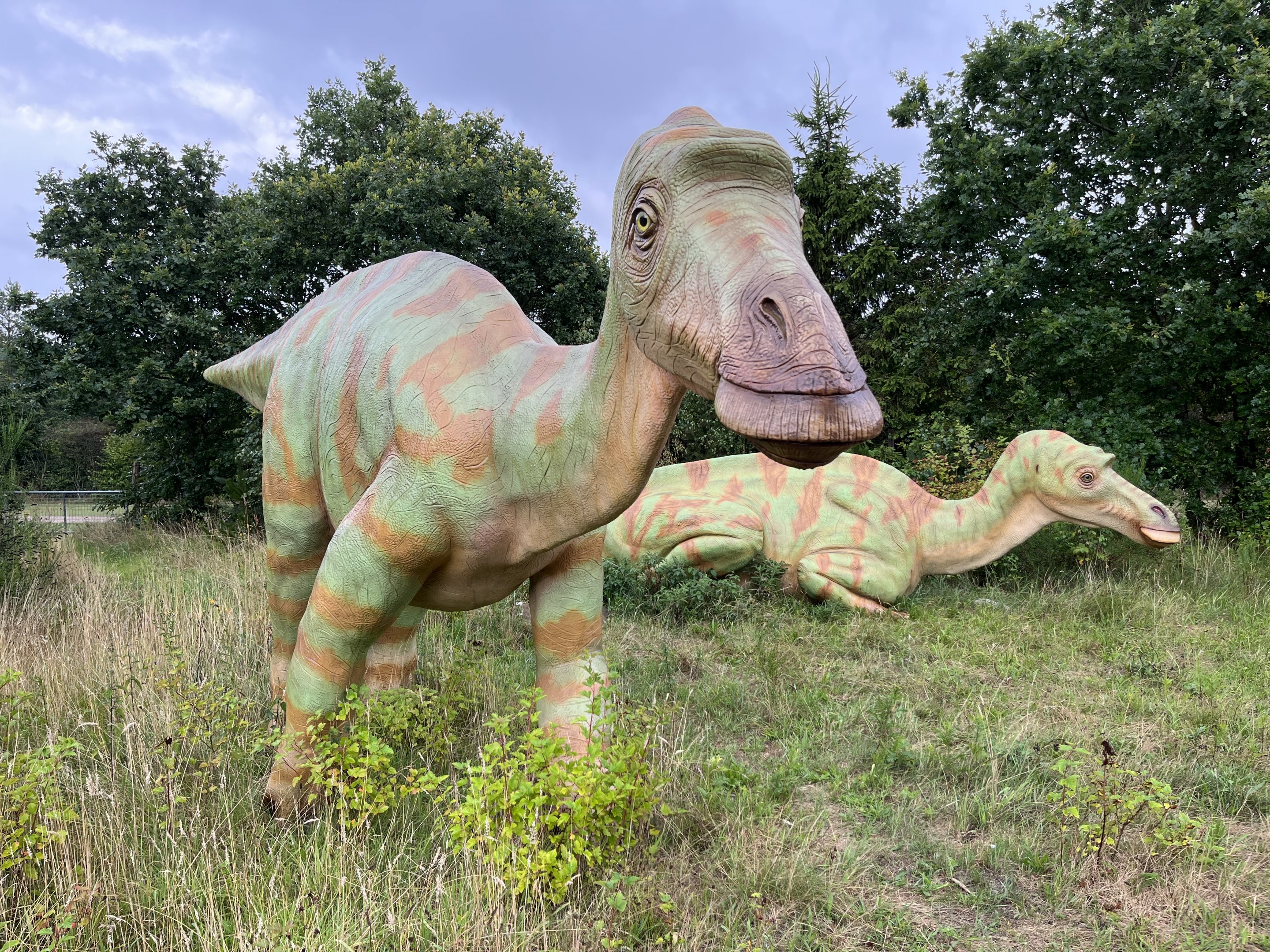 Maiasaura
