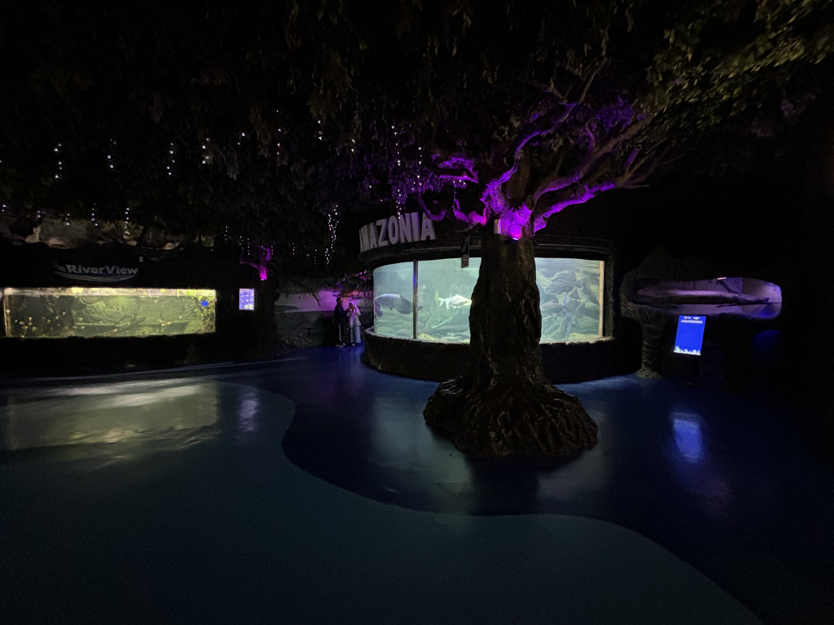 Main Aquarium Hallway