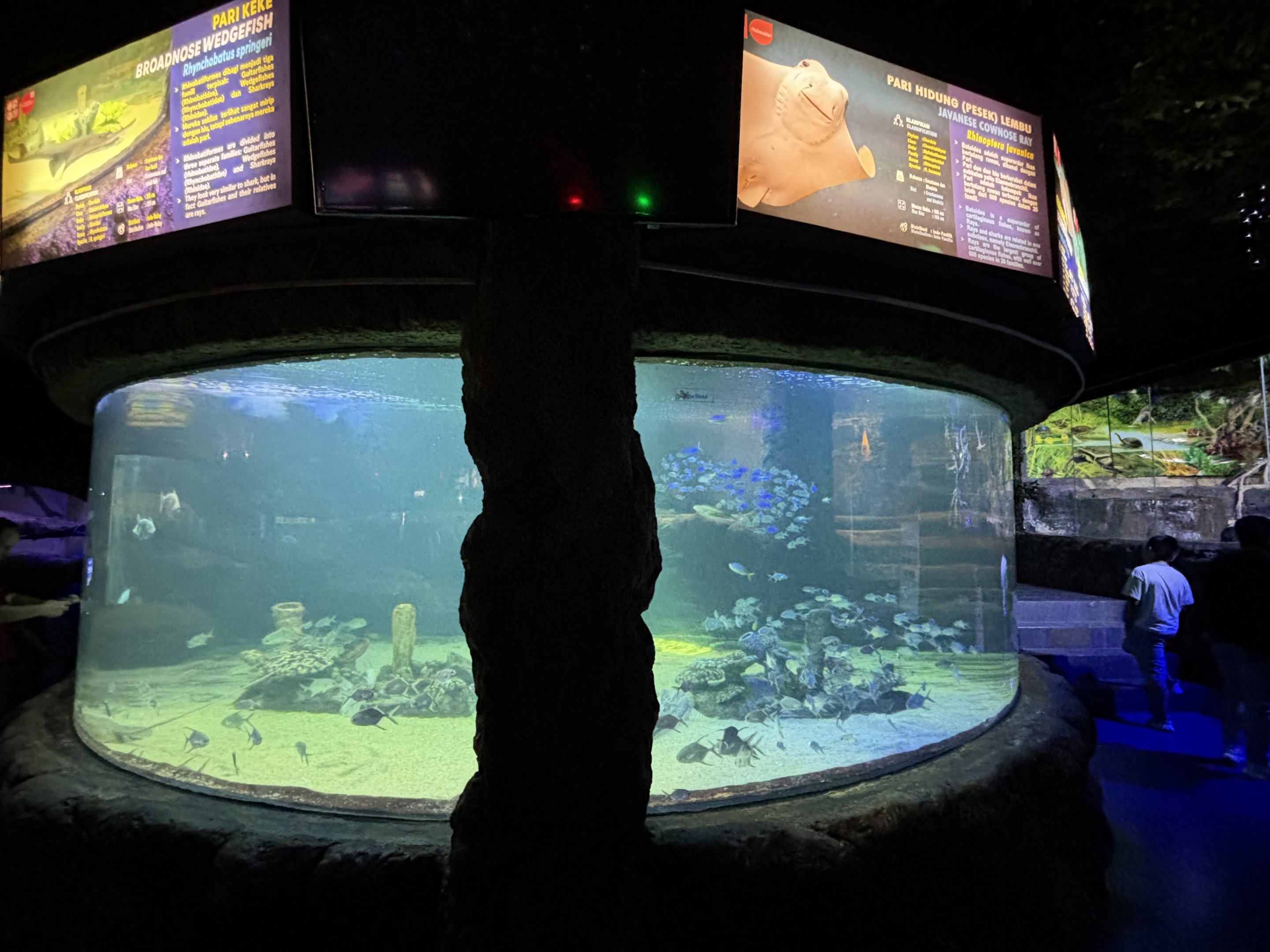 Main Aquarium Hallway