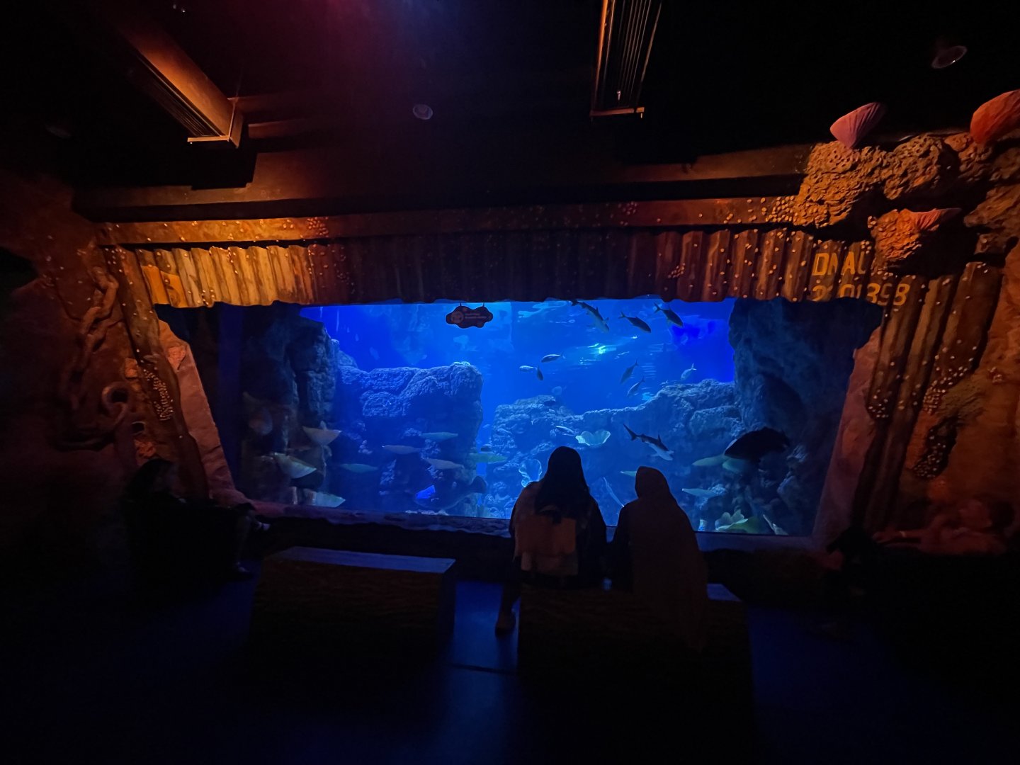 main aquarium viewing (1) - BX Sea