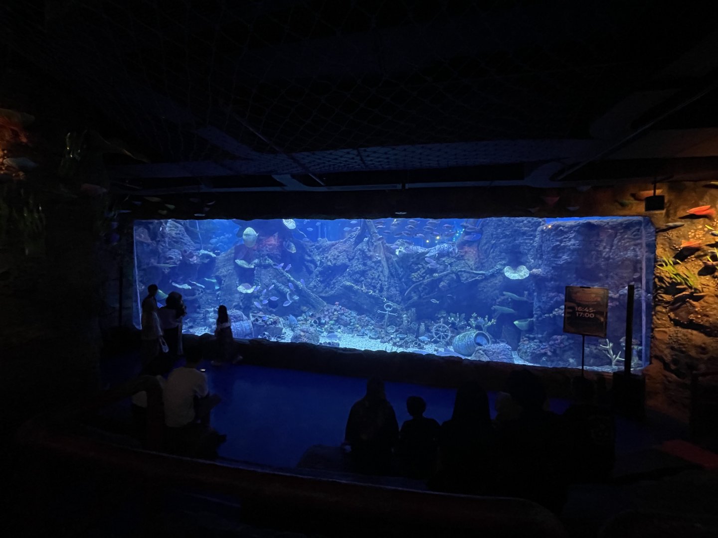 main aquarium viewing (2) - BX Sea
