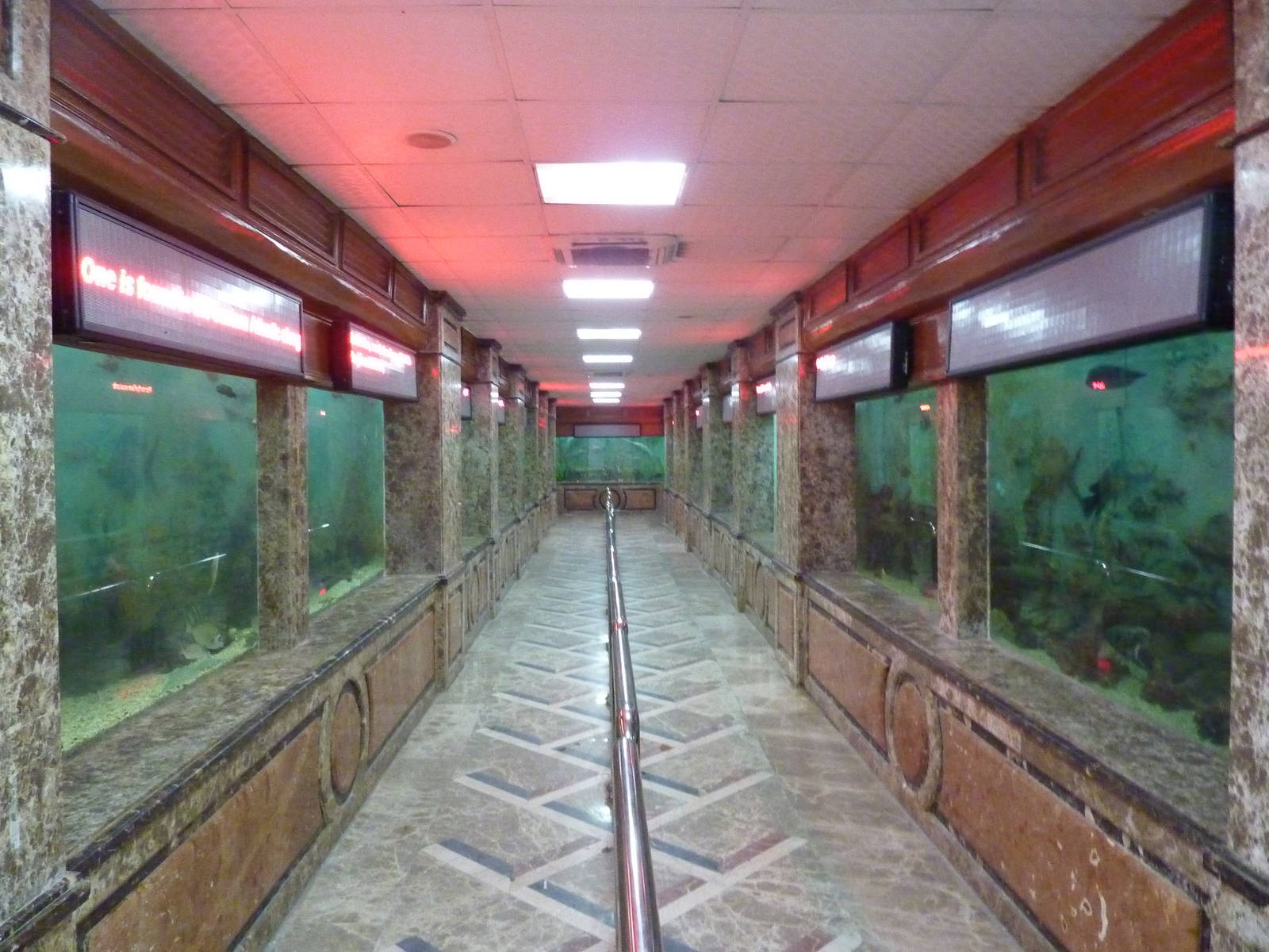 Main aquarium