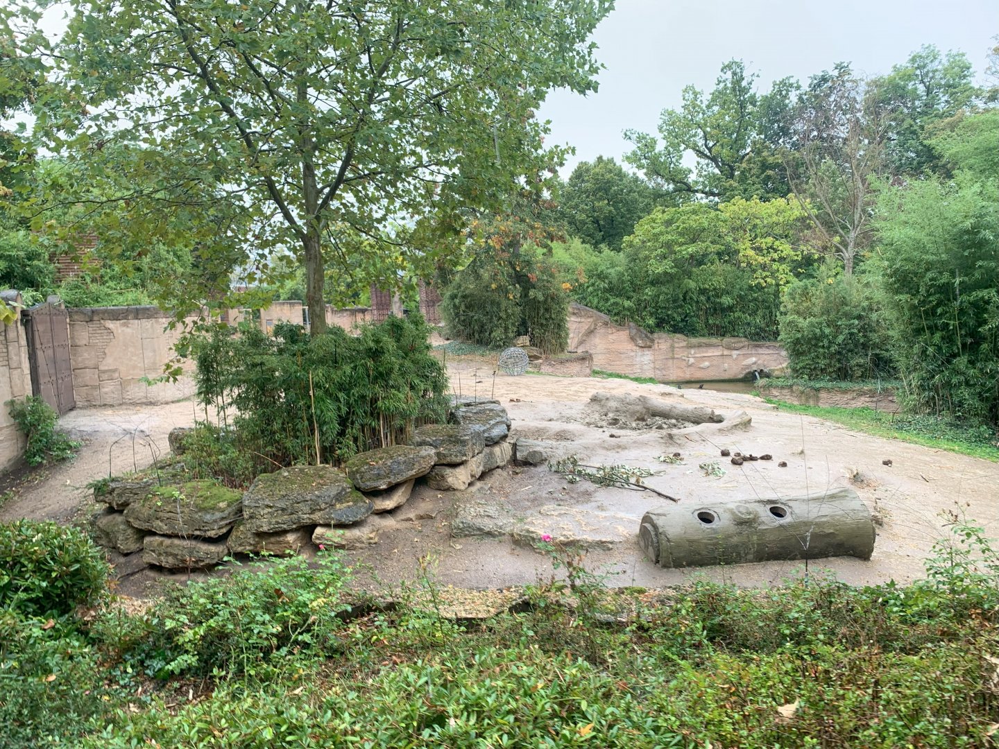 Main Asian Elephant enclosure - Asia