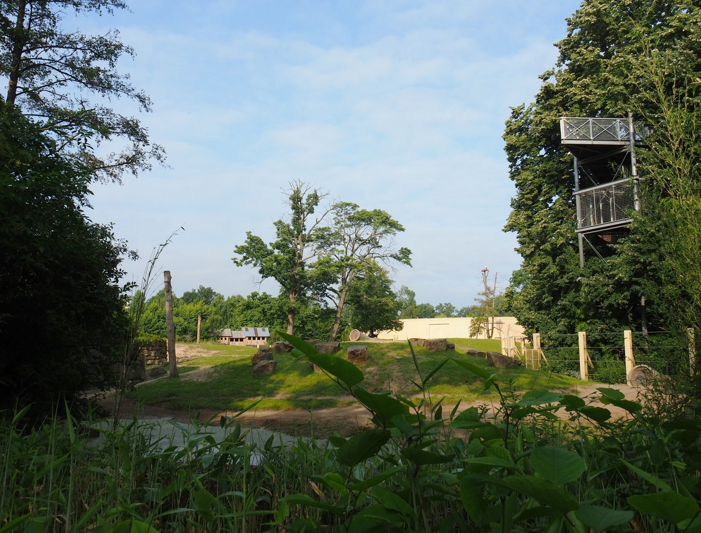 Main Asian elephant paddock, Seen from near the Red panda exhibit, 2021-07-20