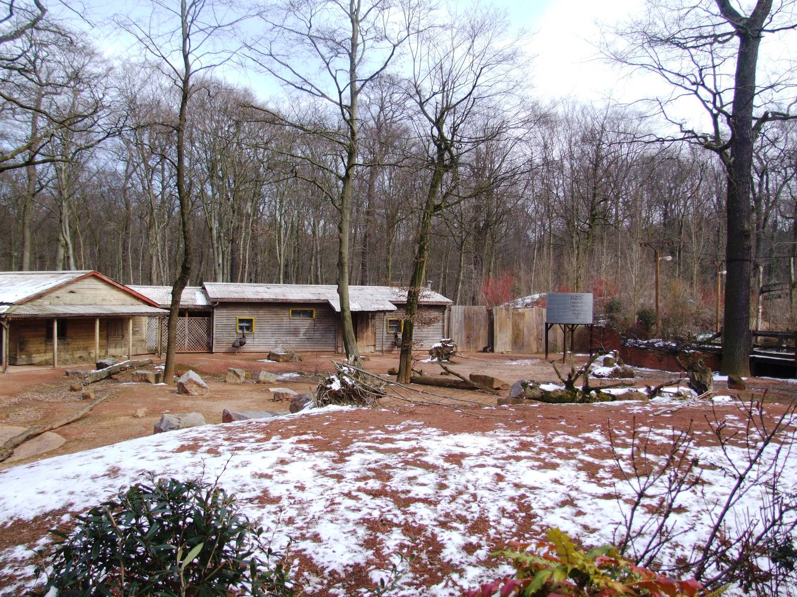 Main Australian Paddock at Hannover, 23/03/13