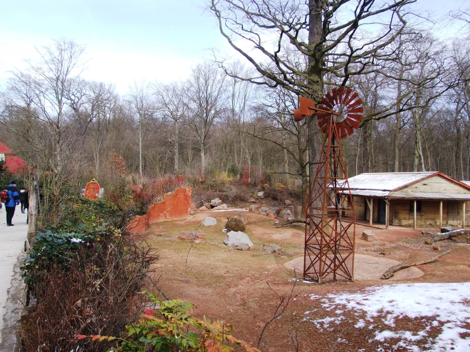 Main Australian Paddock at Hannover, 23/03/13