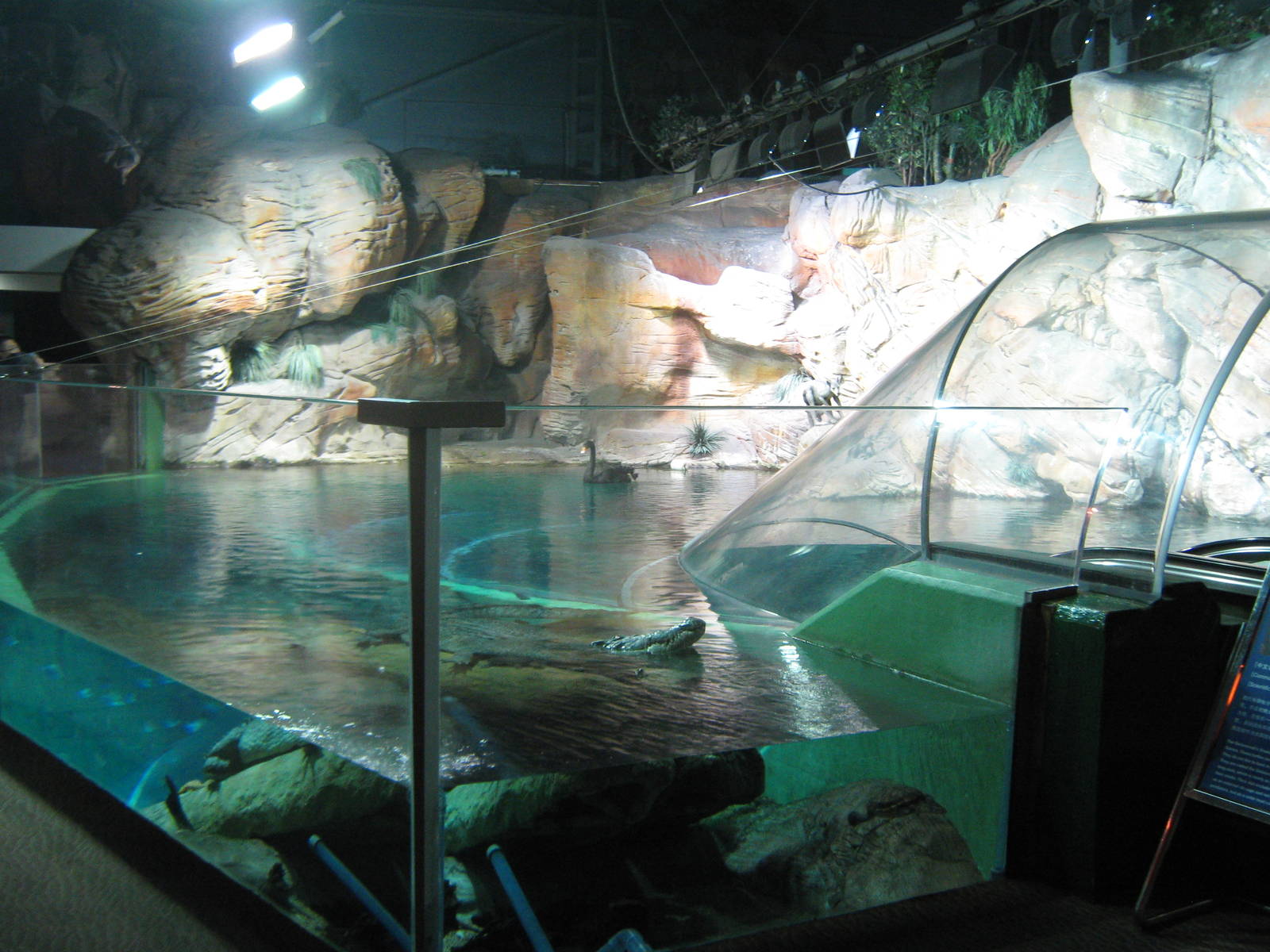 main Australian tank