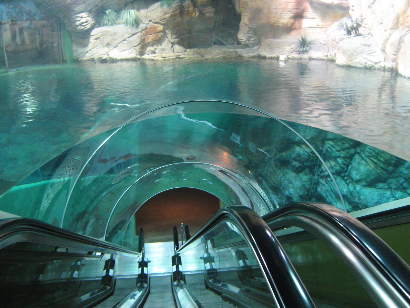 main Australian tank