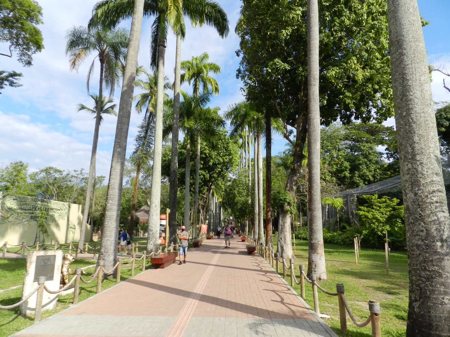 Main avenue - BioParque do Rio