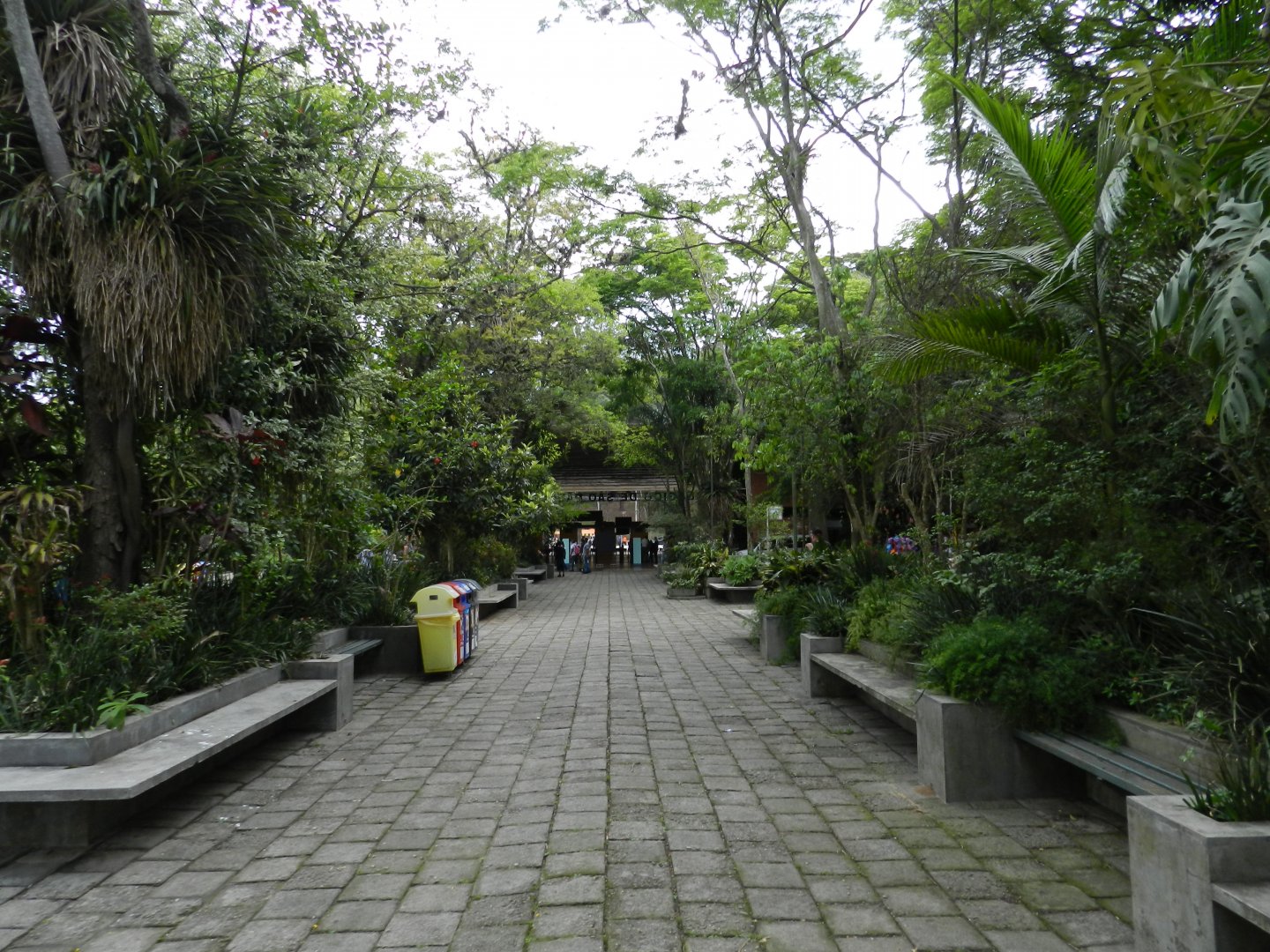 Main avenue - Zoo São Paulo