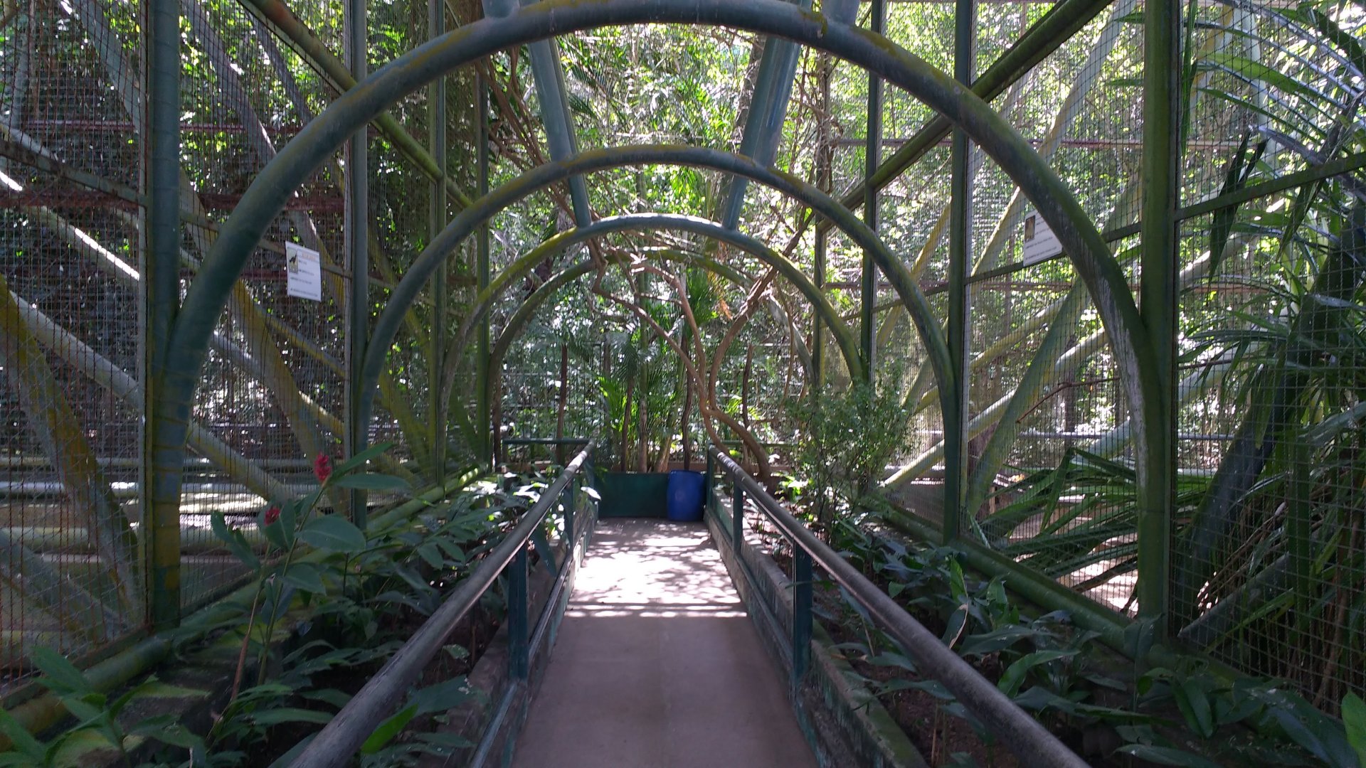 Main aviary - Aracaju zoo