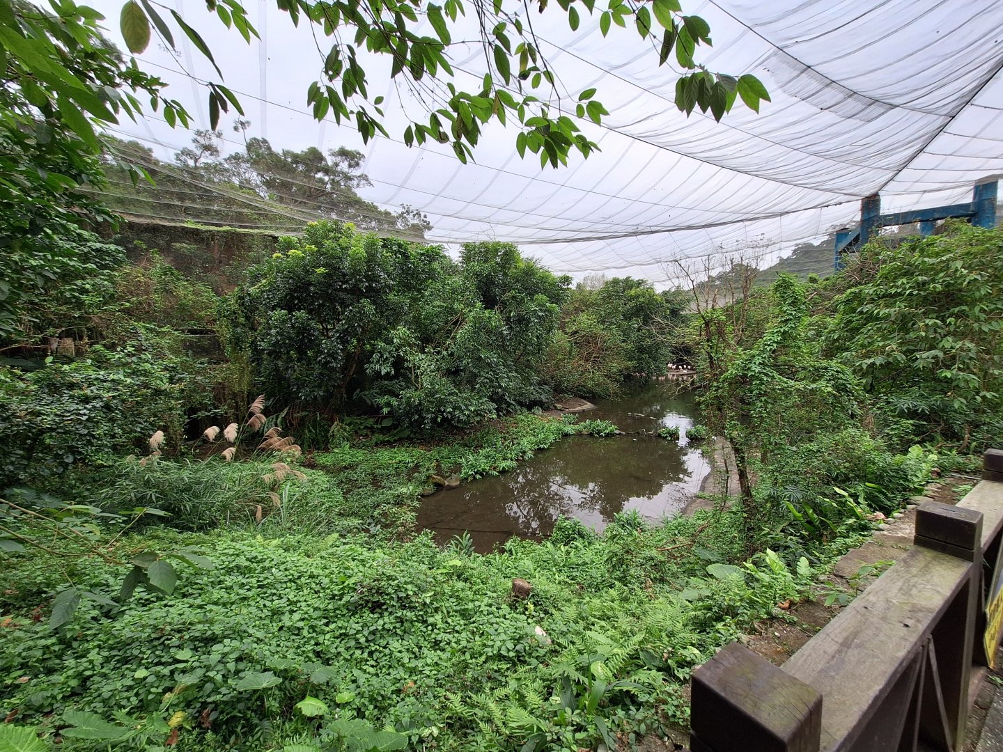 Main Aviary- Bird World